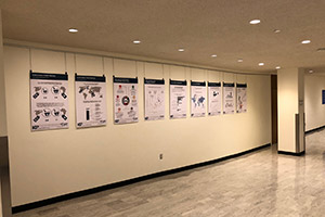 UNSD