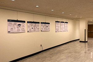 UNSD