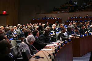 UNSD
